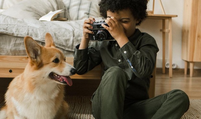 a person sitting on the floor with a dog